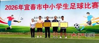 2026年世界杯决赛门票价格对球迷观赛体验的影响分析